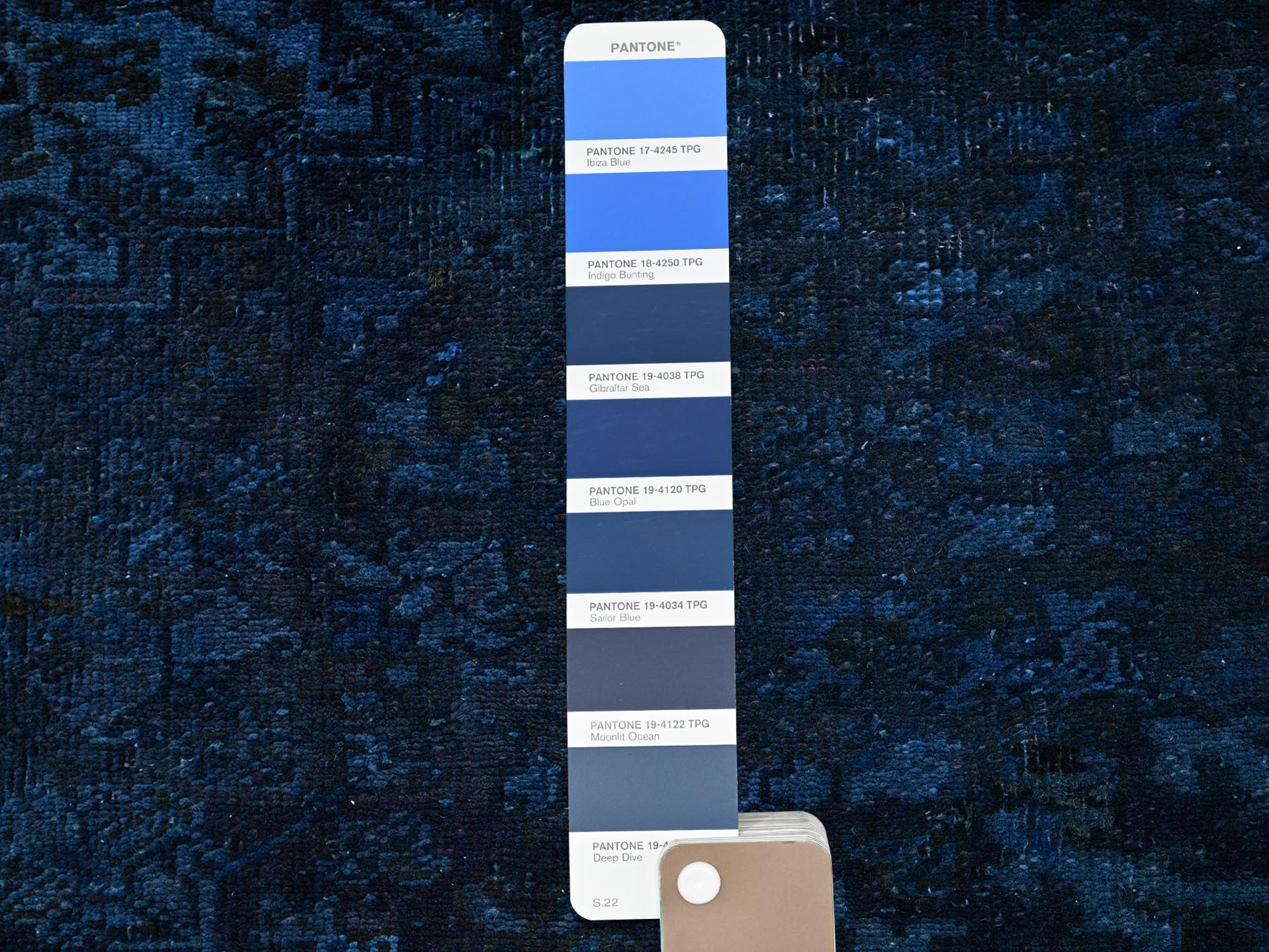 Text